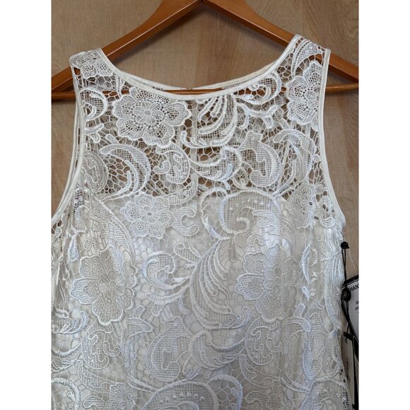 Adrianna Papell Ivory Lace Sheath Dress Illusion Neckline Size 10 NWT - Picture 5 of 16